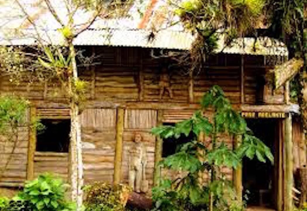 Photo of Outdoor in Pacuare Reserve
