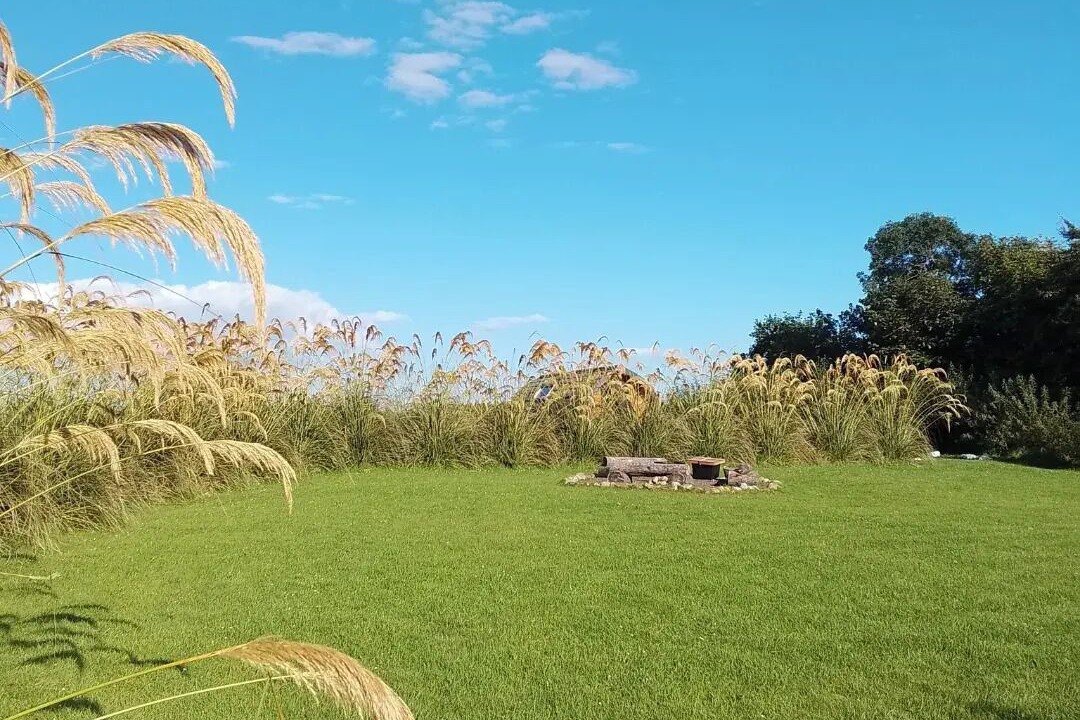 Photo of Outdoor in Lybster