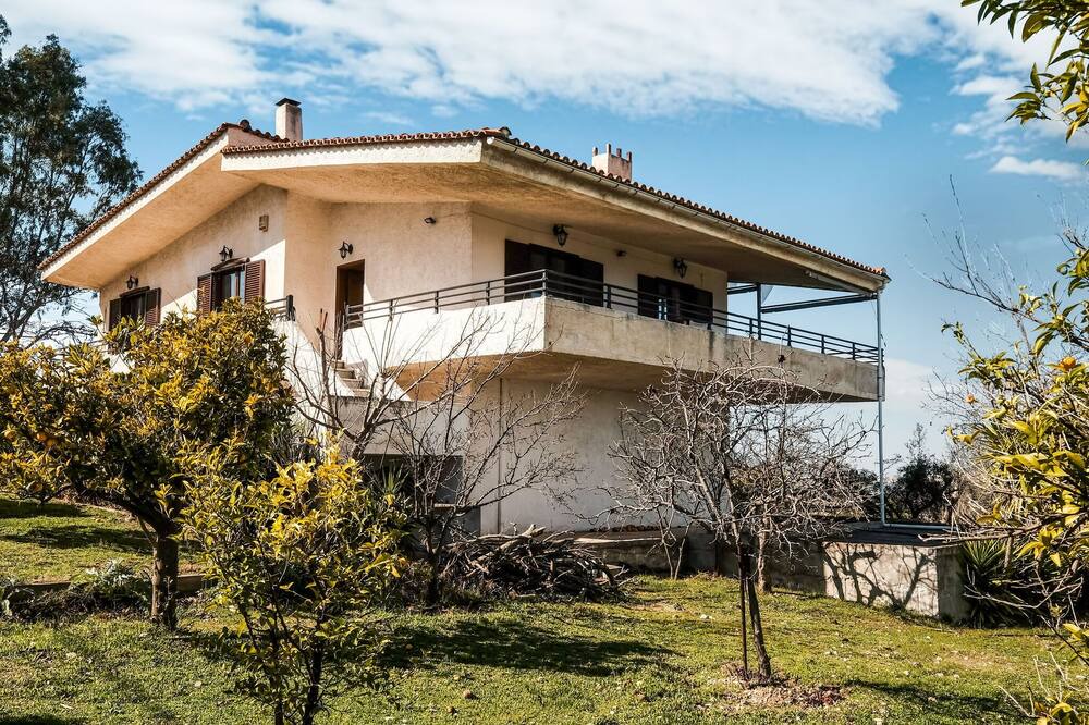 Photo of Outdoor in Tanagra