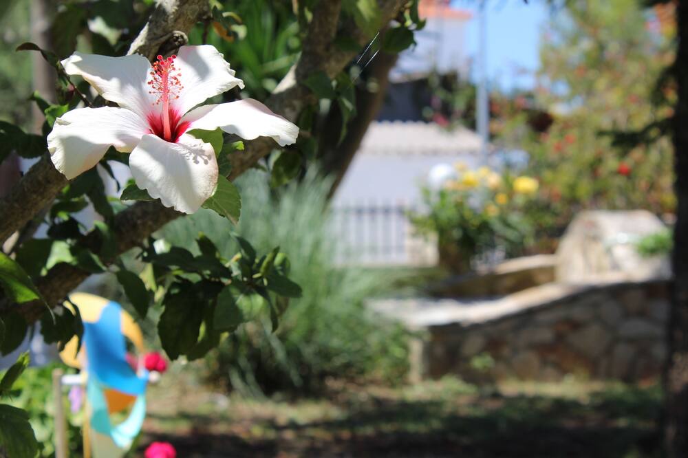 Photo of Outdoor in Amoudi