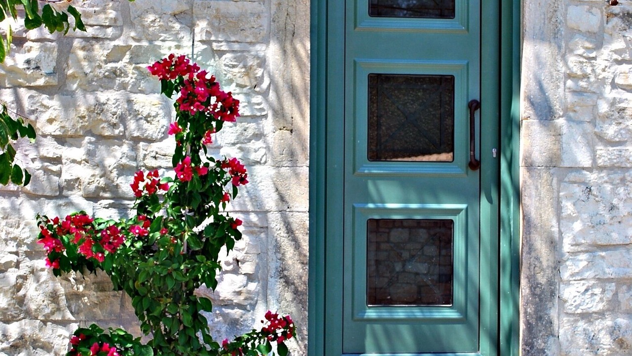 Photo of Outdoor in Kourteika