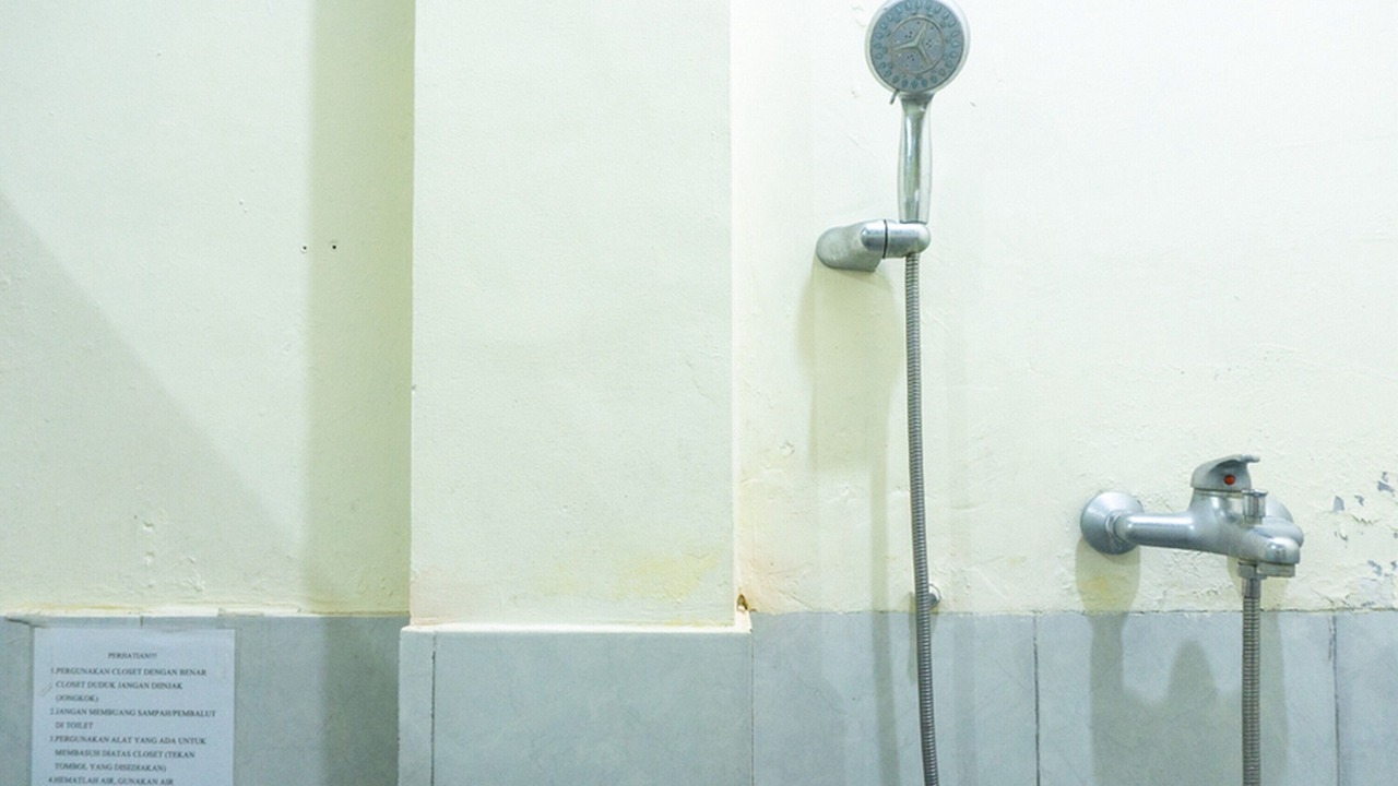 Photo of Others in Ende