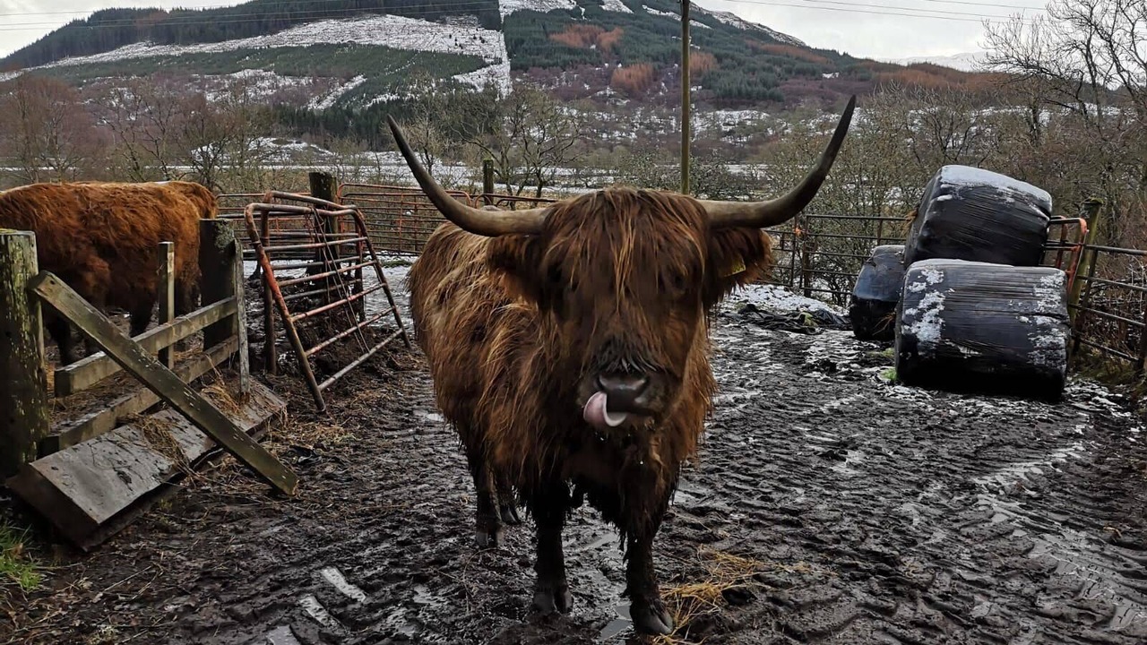Photo of Bathroom in Lochearnhead