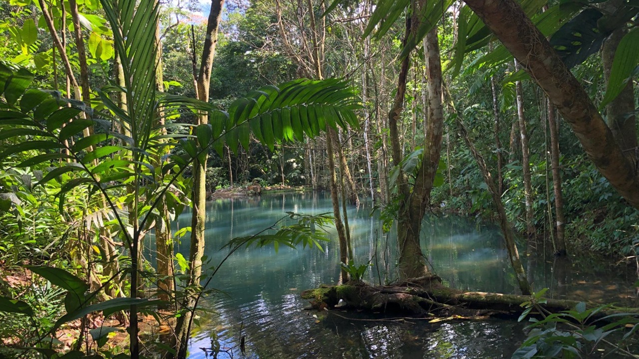 Photo of Outdoor in Valle Azul