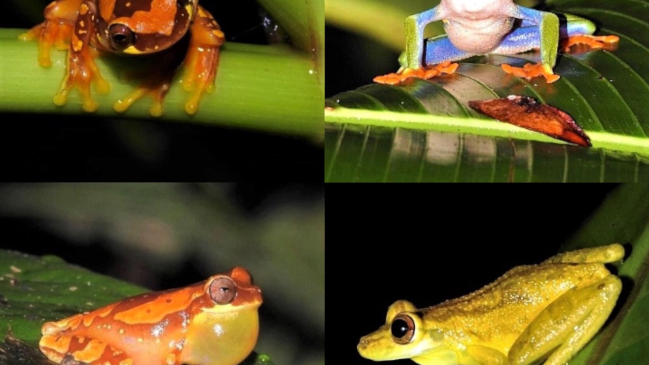 Photo of Others in Valle Azul