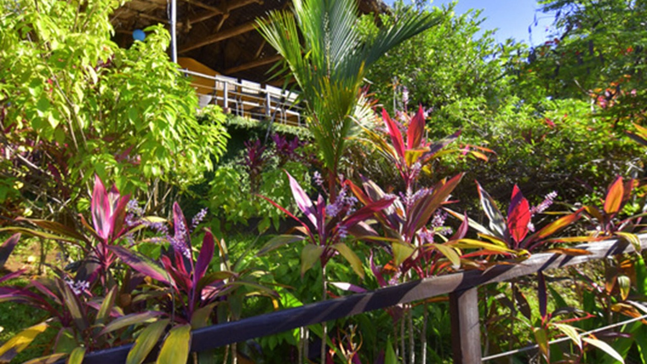 Photo of Outdoor in Ostional