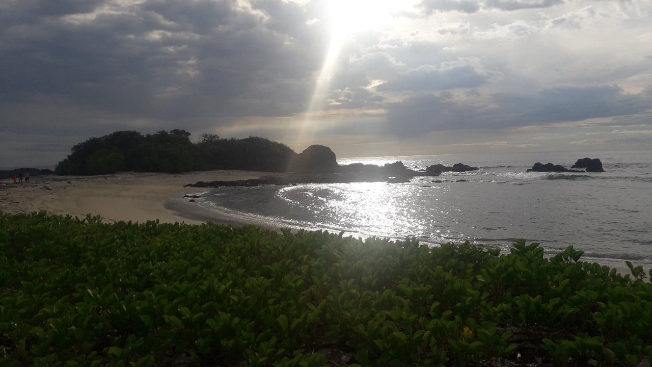 Photo of Others in Ostional