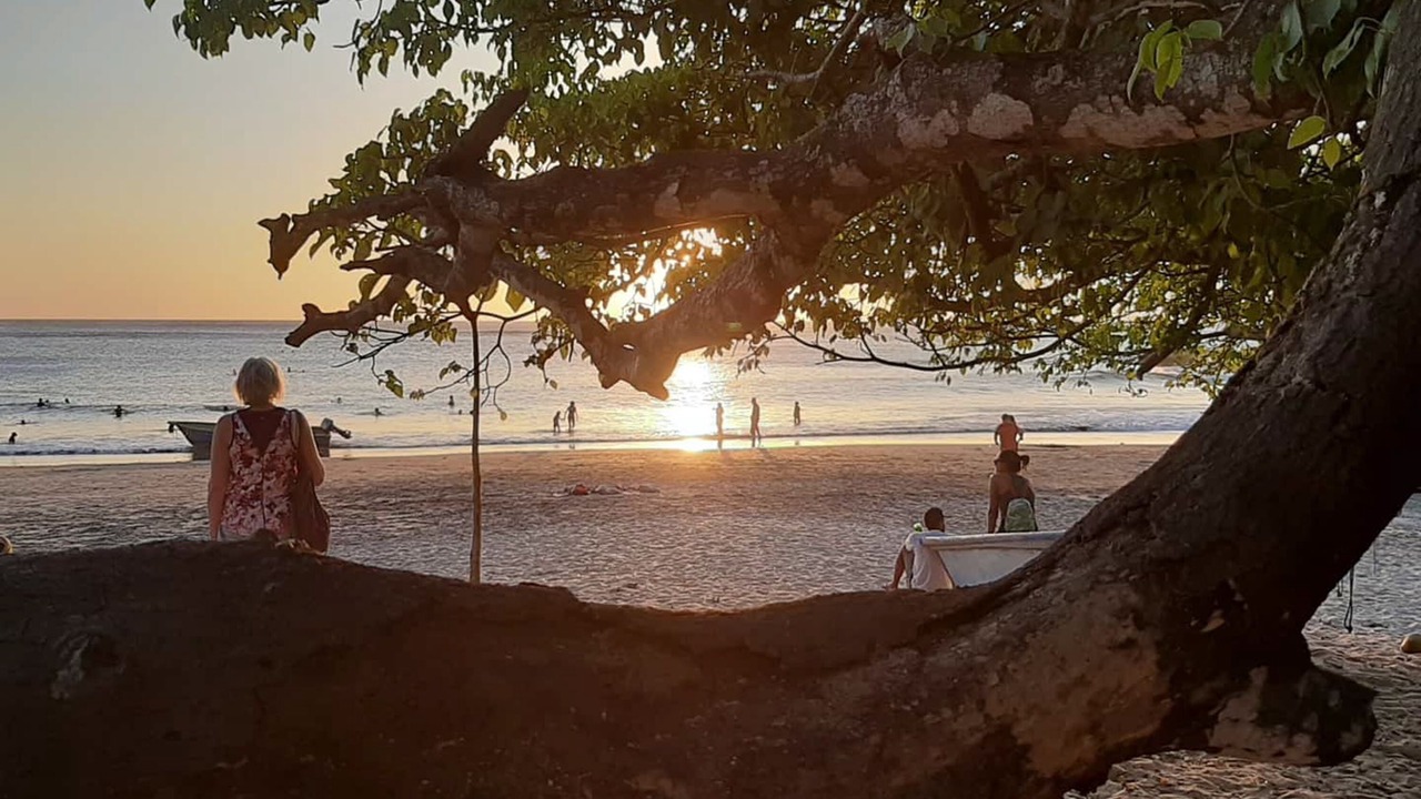 Photo of Others in Ostional