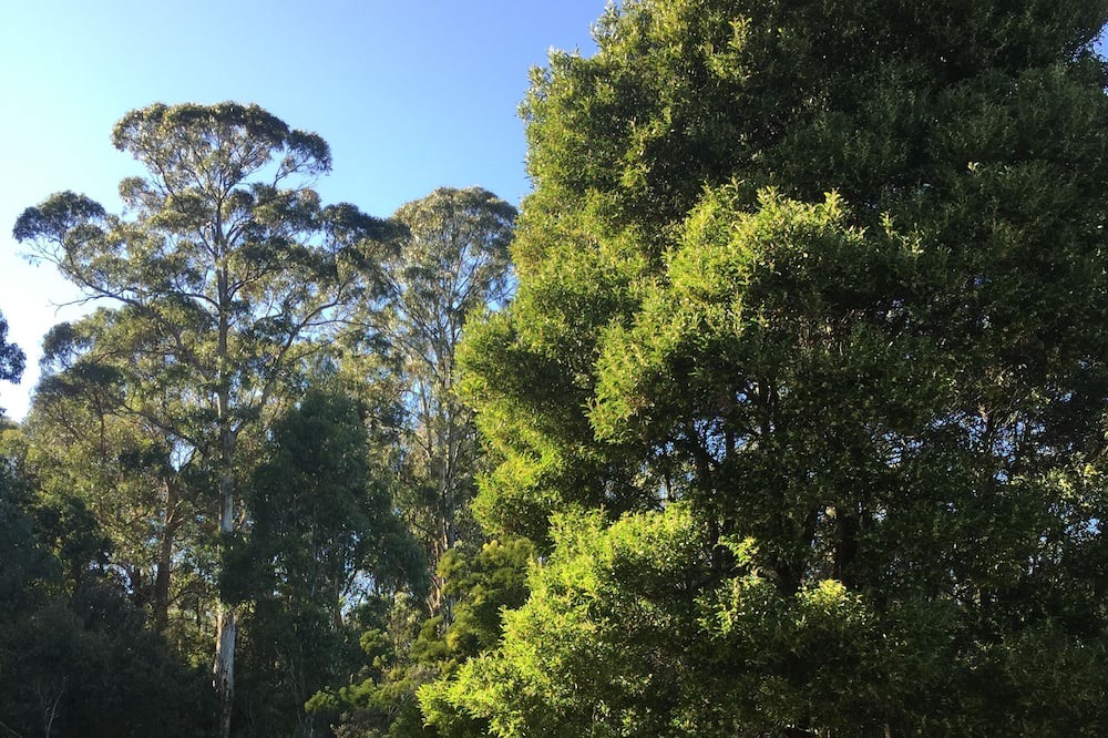 Photo of Outdoor in Weetah