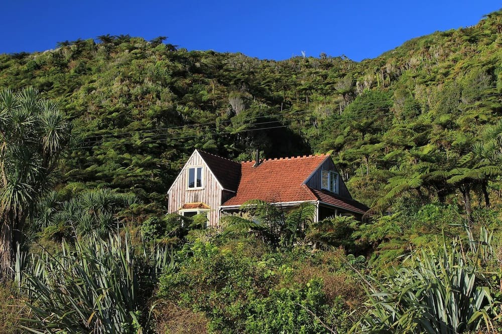 Photo of Others in Paparoa National Park