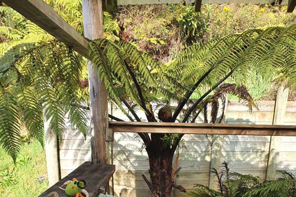 Photo of Bathroom in Paparoa National Park