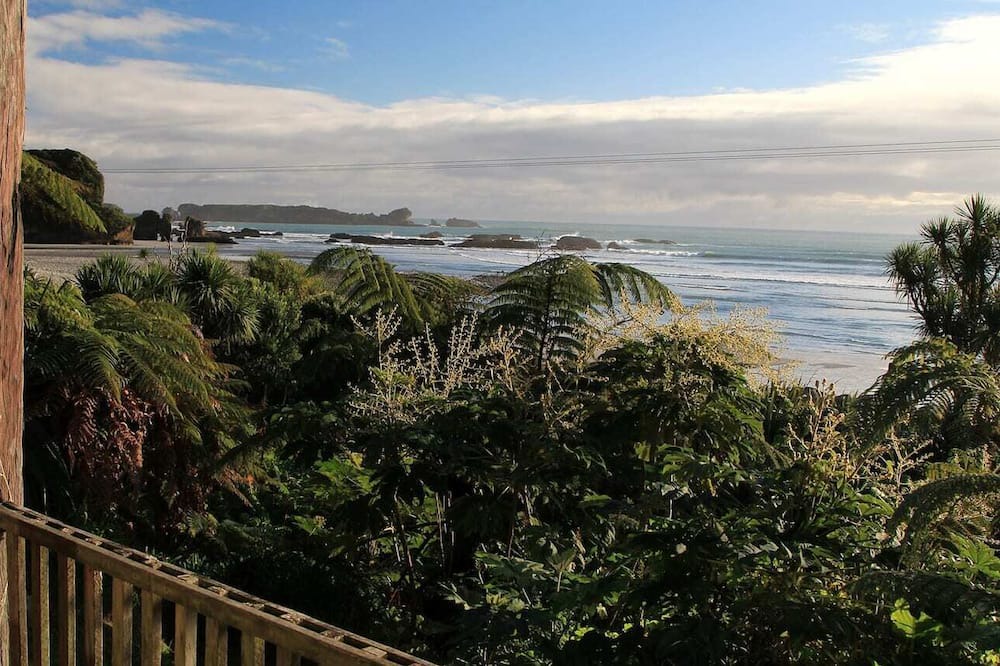 Photo of Others in Paparoa National Park