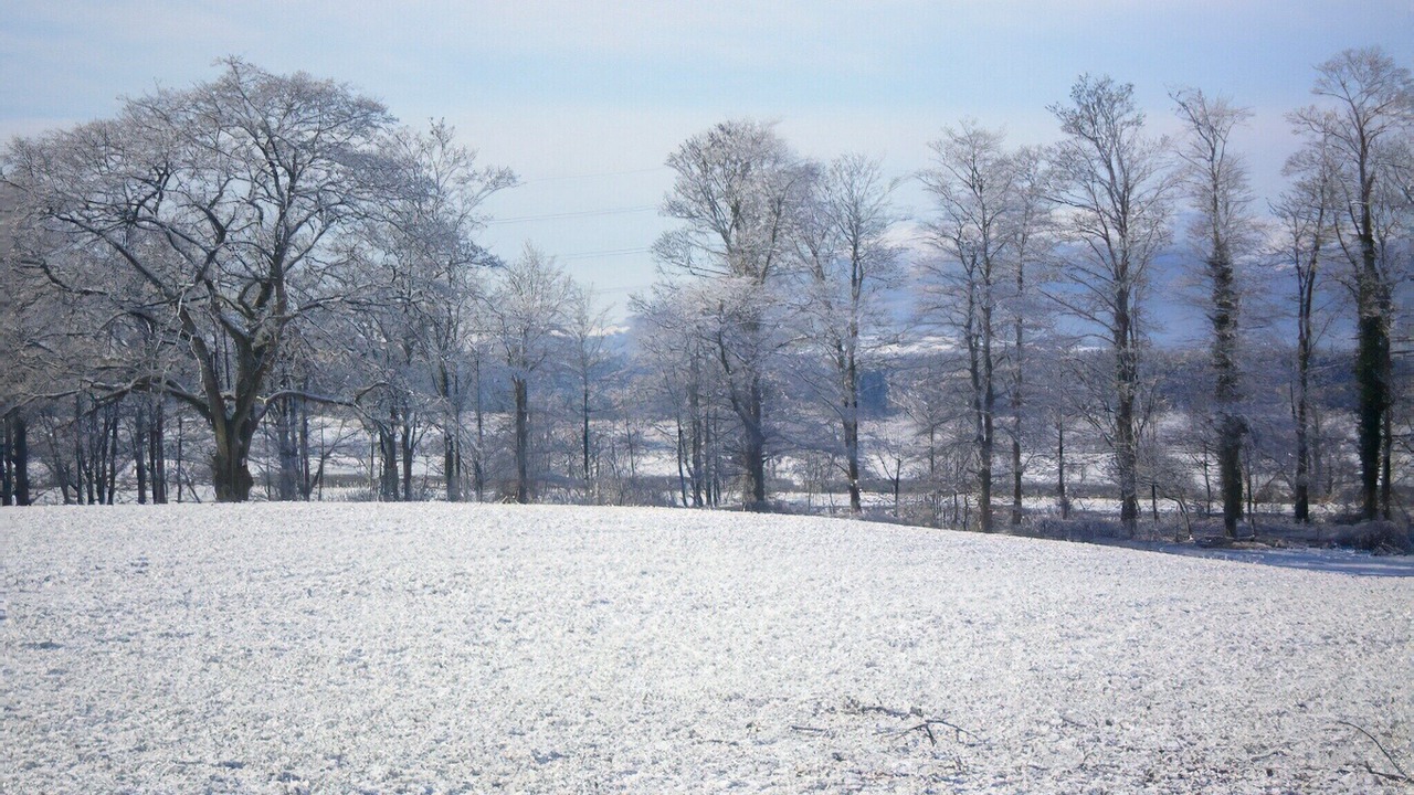 Photo of Outdoor in Mouswald