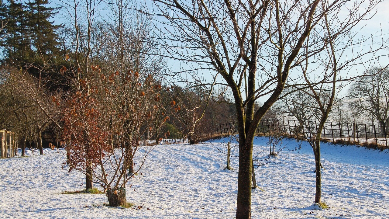 Photo of Outdoor in Mouswald
