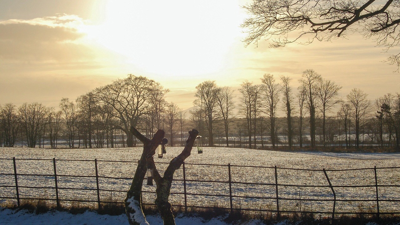 Photo of Others in Mouswald