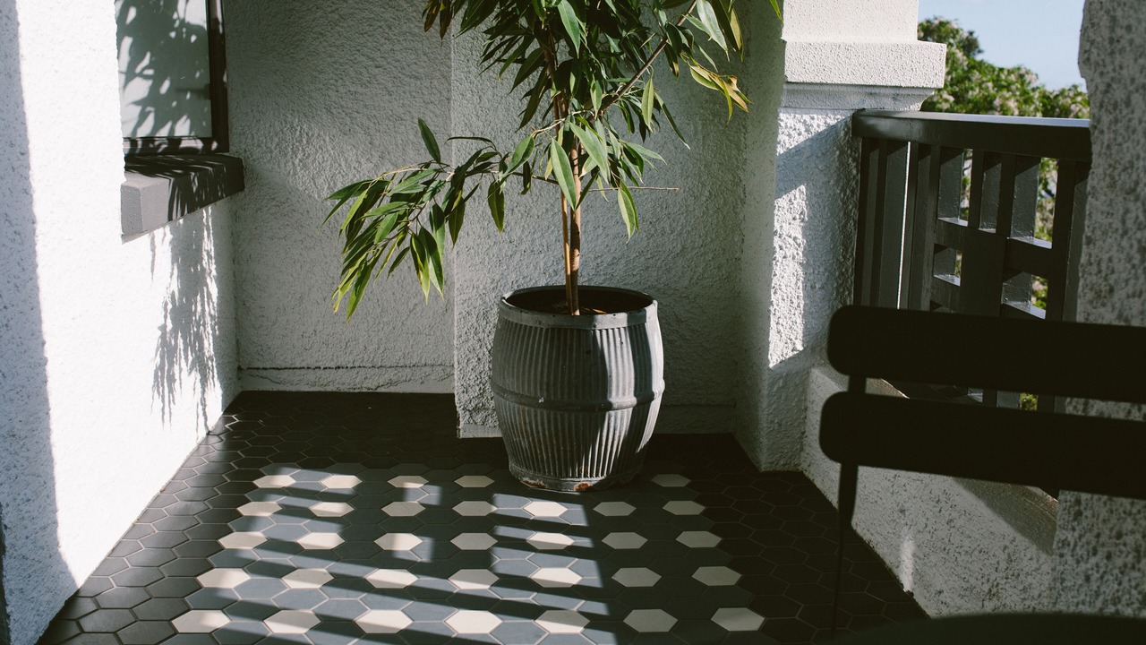 Photo of Patio Balcony in Grey Lynn