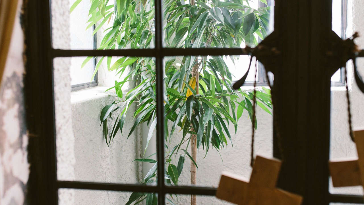Photo of Others in Grey Lynn