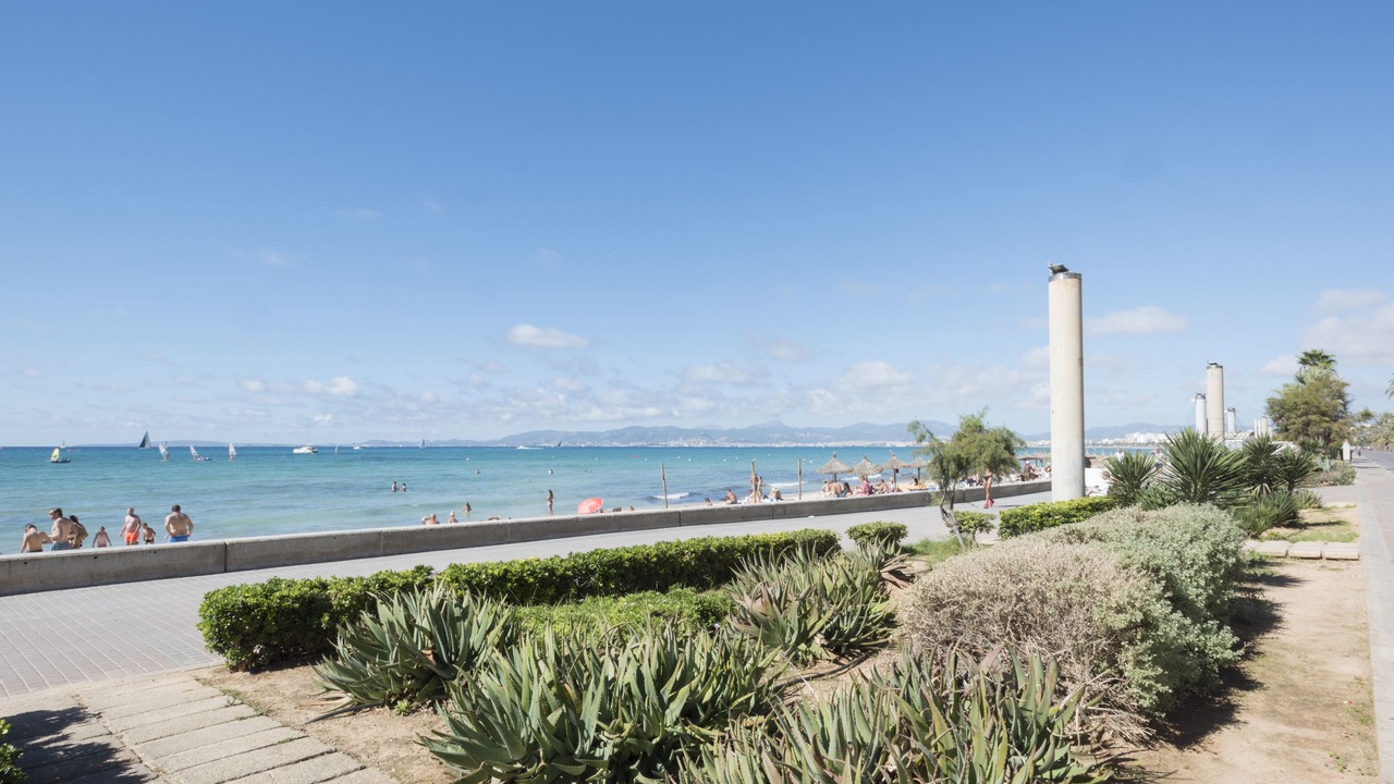 Photo of Others in El Arenal