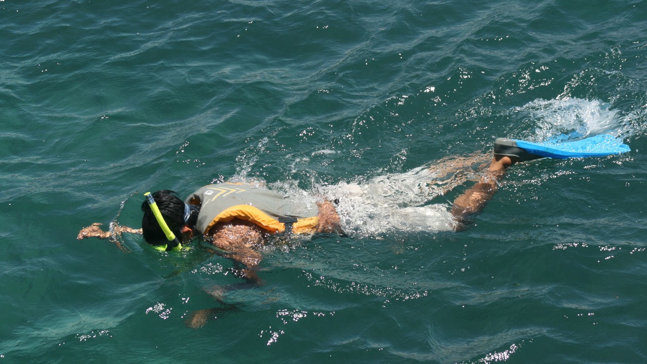 Photo of Others in Batam
