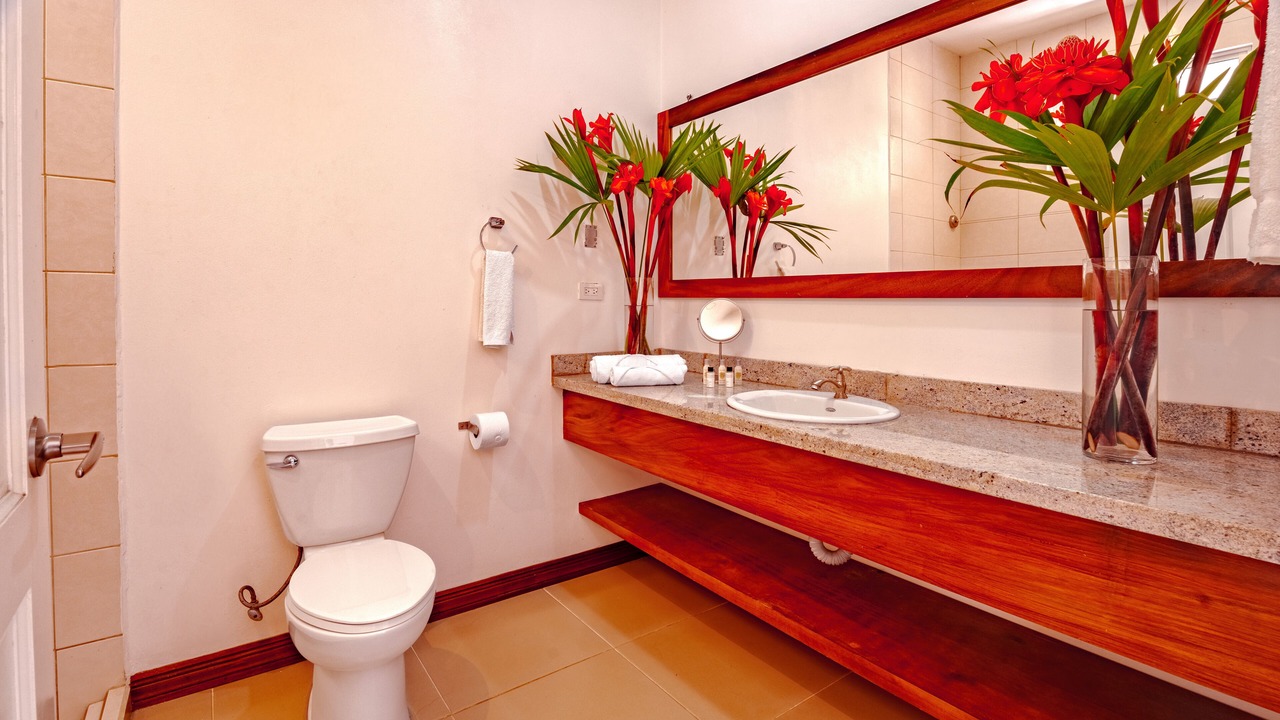 Photo of Bathroom in Turrialba