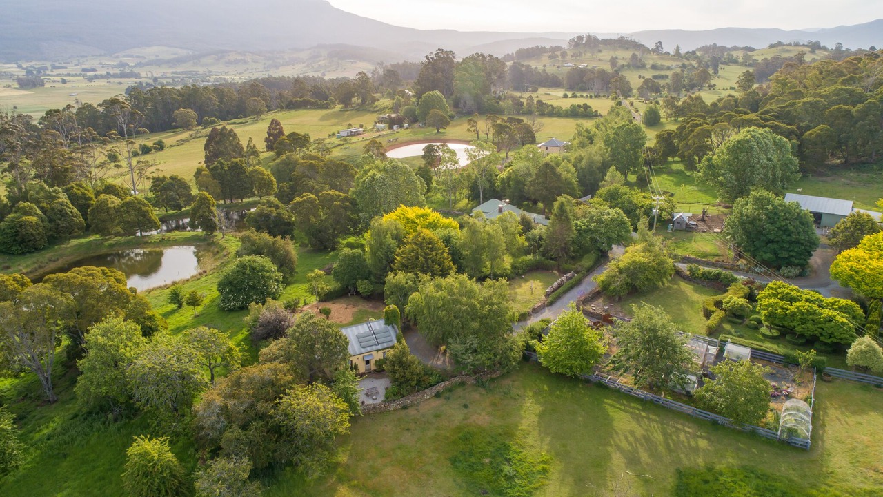 Photo of Outdoor in Mole Creek