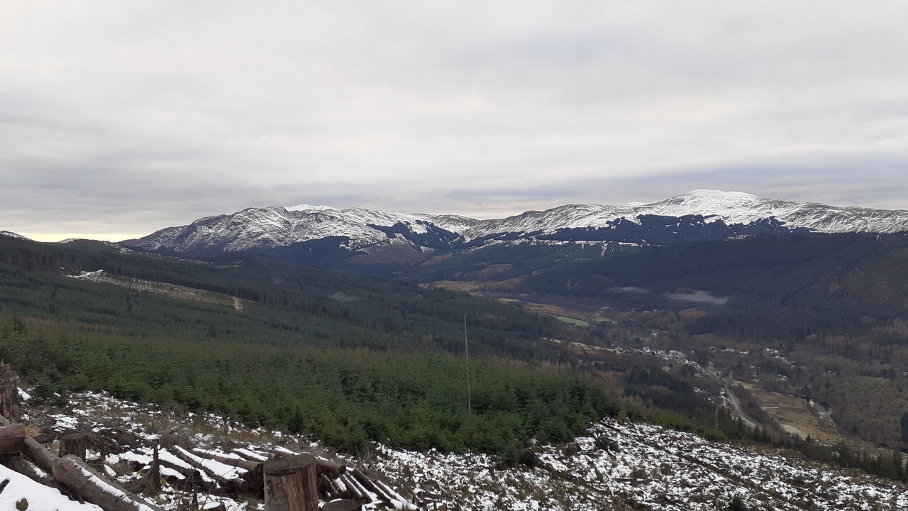 Photo of Others in Strathyre