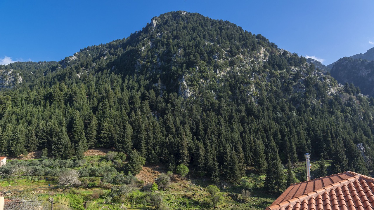 Photo of Others in Zourva