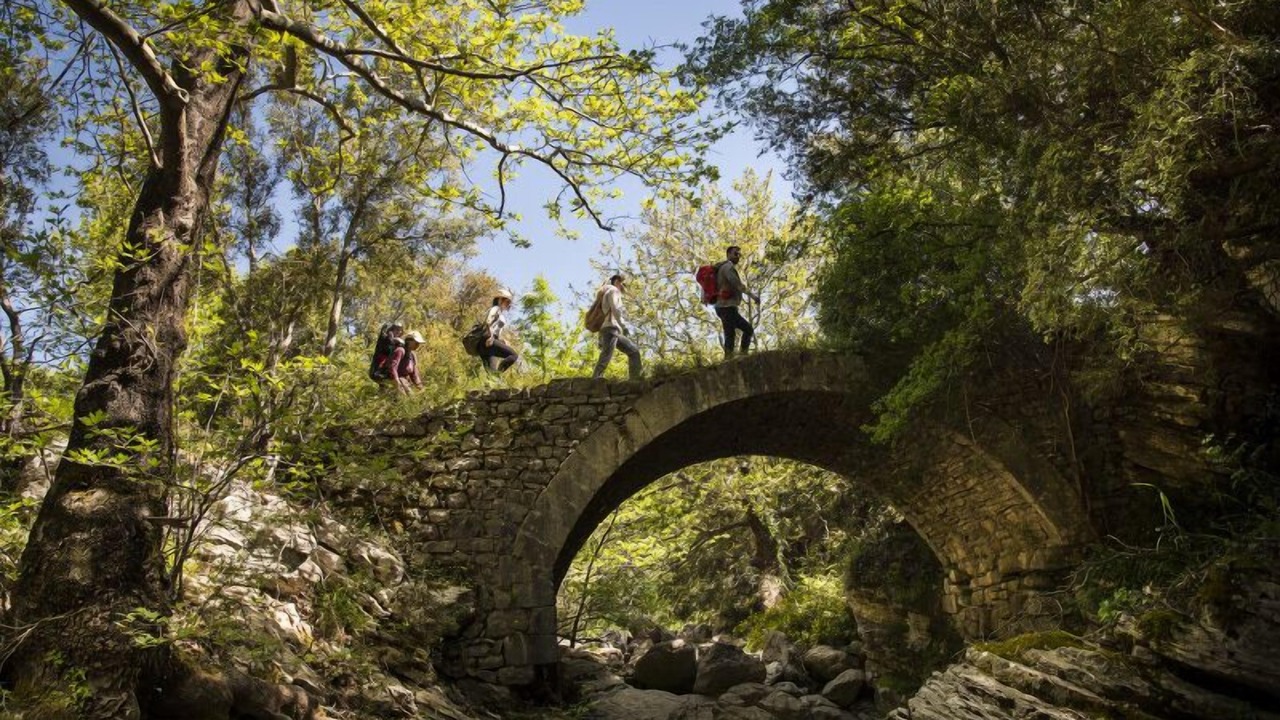 Photo of Outdoor in Abeliona