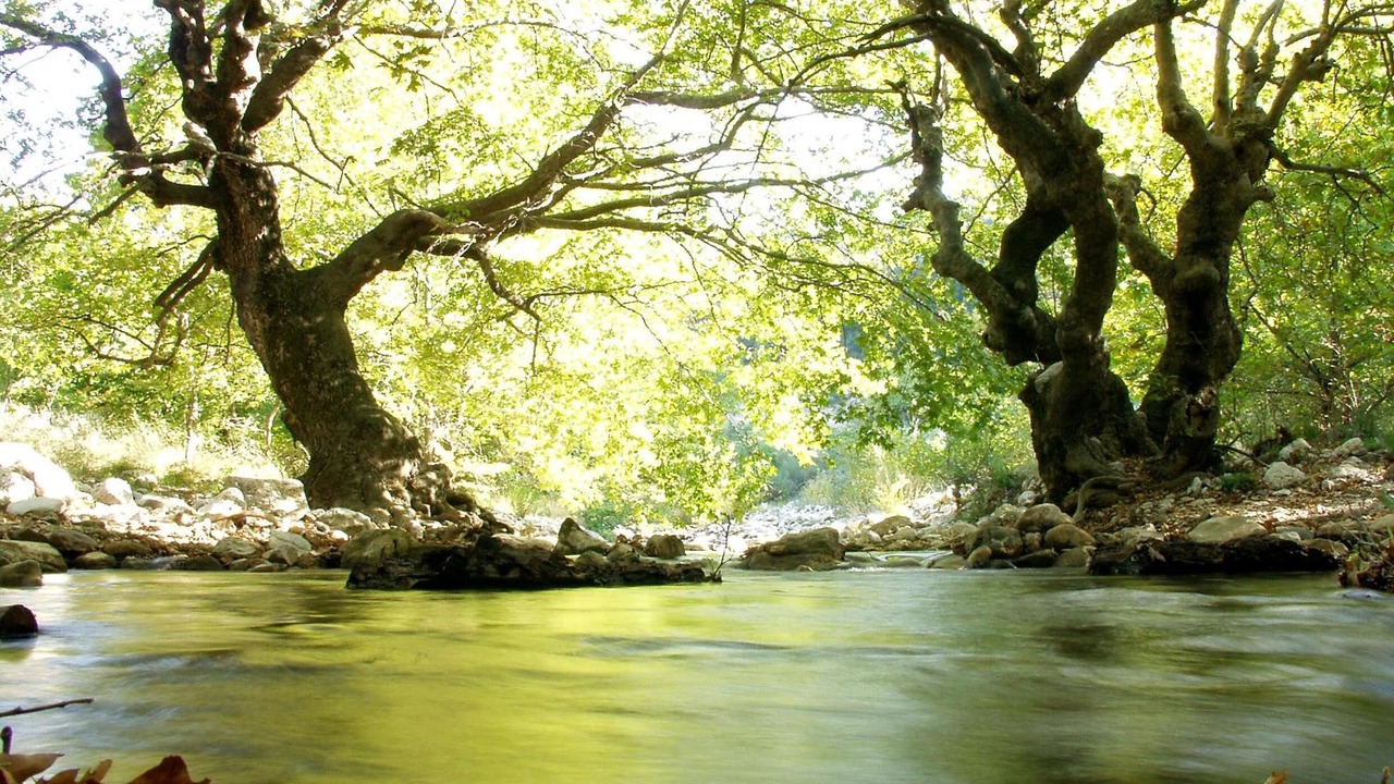 Photo of Outdoor in Abeliona
