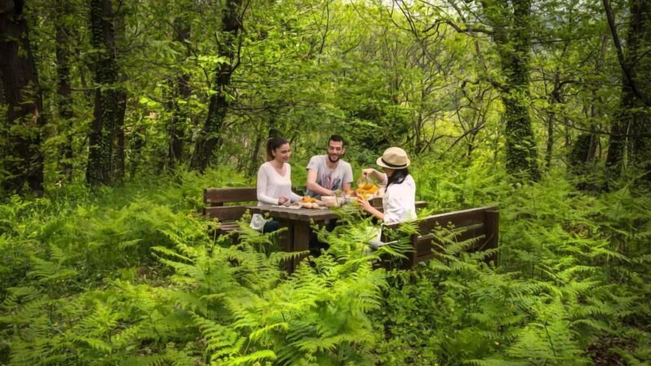 Photo of Outdoor in Abeliona