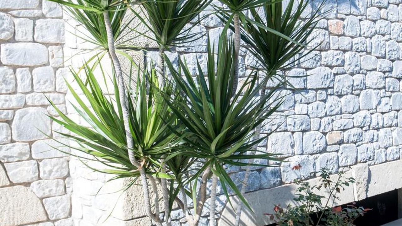 Photo of Outdoor in Lefktron