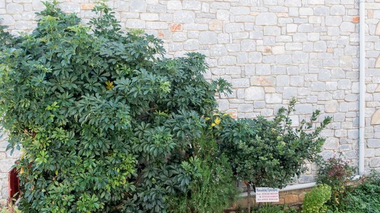 Photo of Outdoor in Lefktron