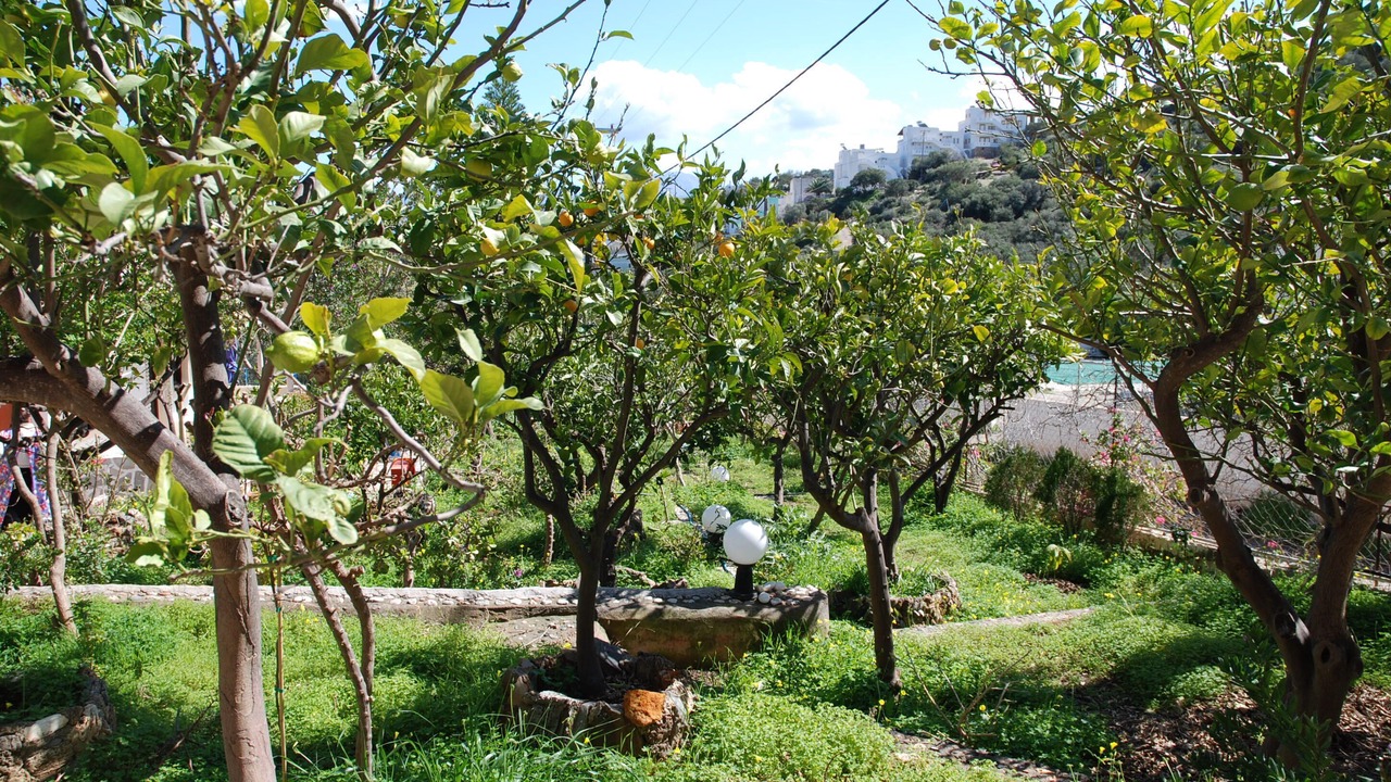 Photo of Patio Balcony in Ammoudara