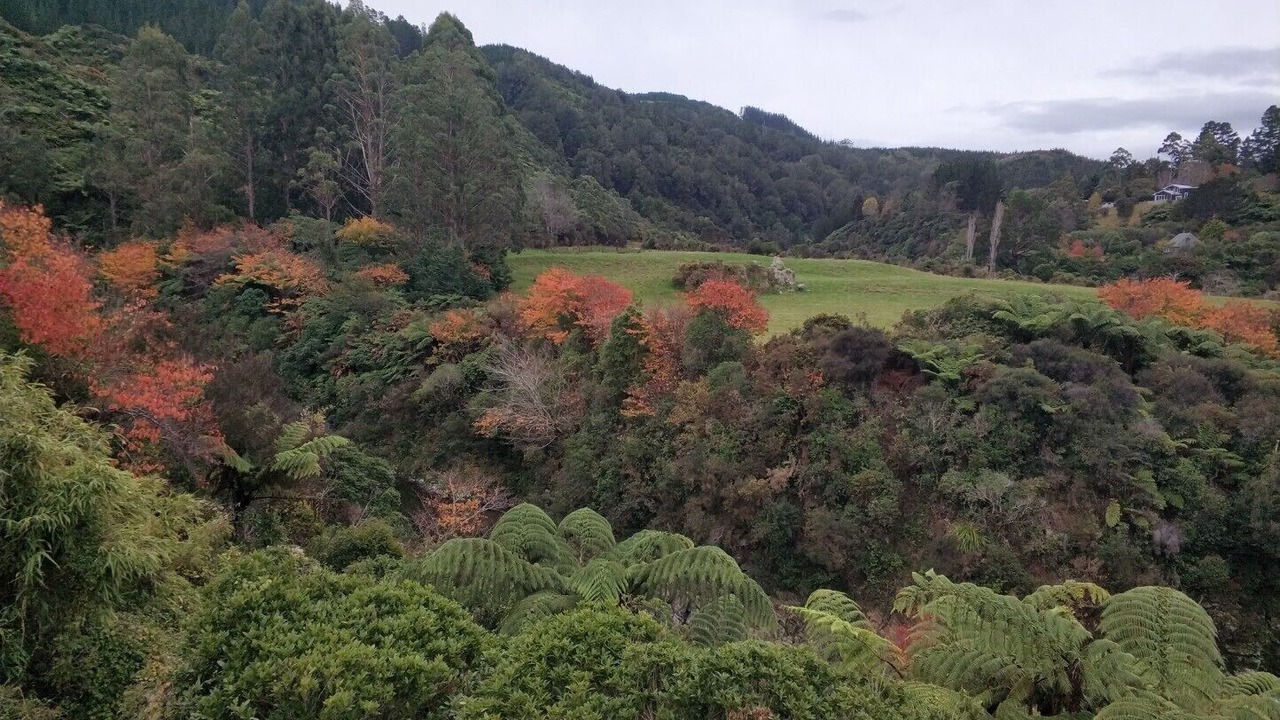 Photo of Outdoor in Upper Hutt