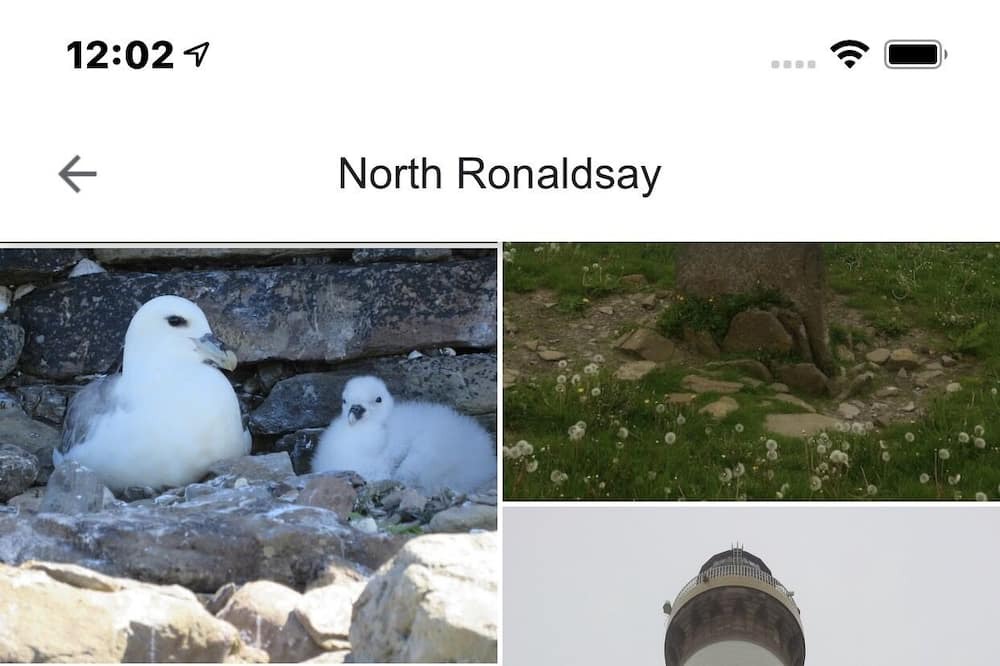 Photo of Others in North Ronaldsay
