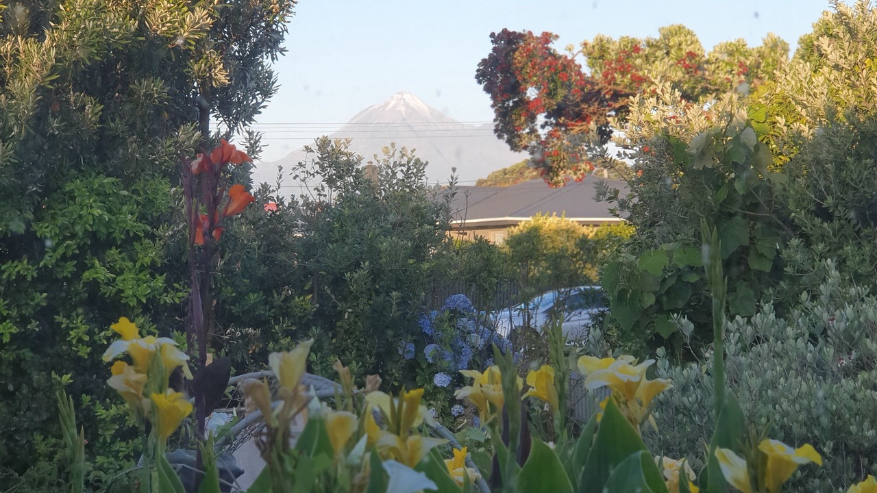Photo of Outdoor in Opunake