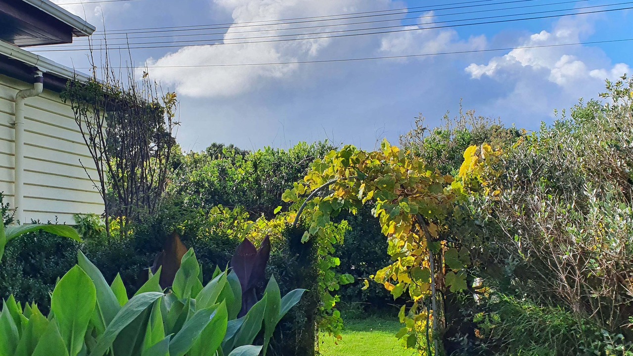 Photo of Outdoor in Opunake