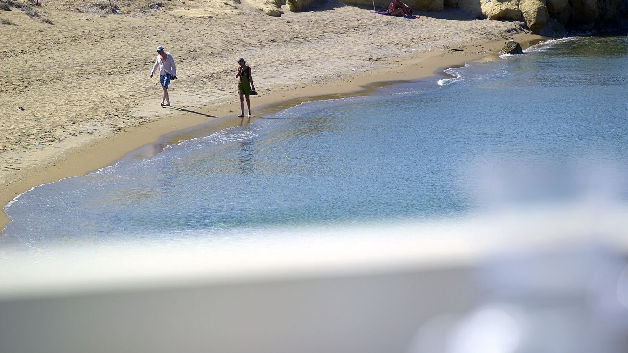 Photo of Others in Pachena