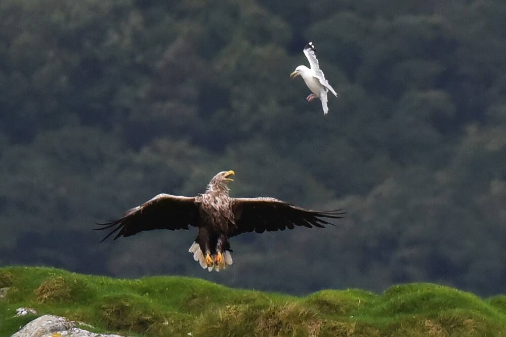 Photo of Others in Oban