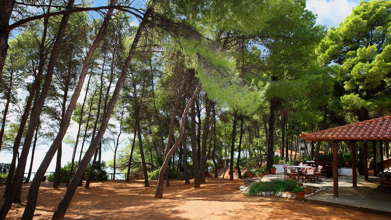 Photo of Outdoor in Metamorfosi