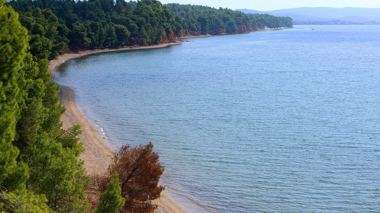 Photo of Others in Metamorfosi