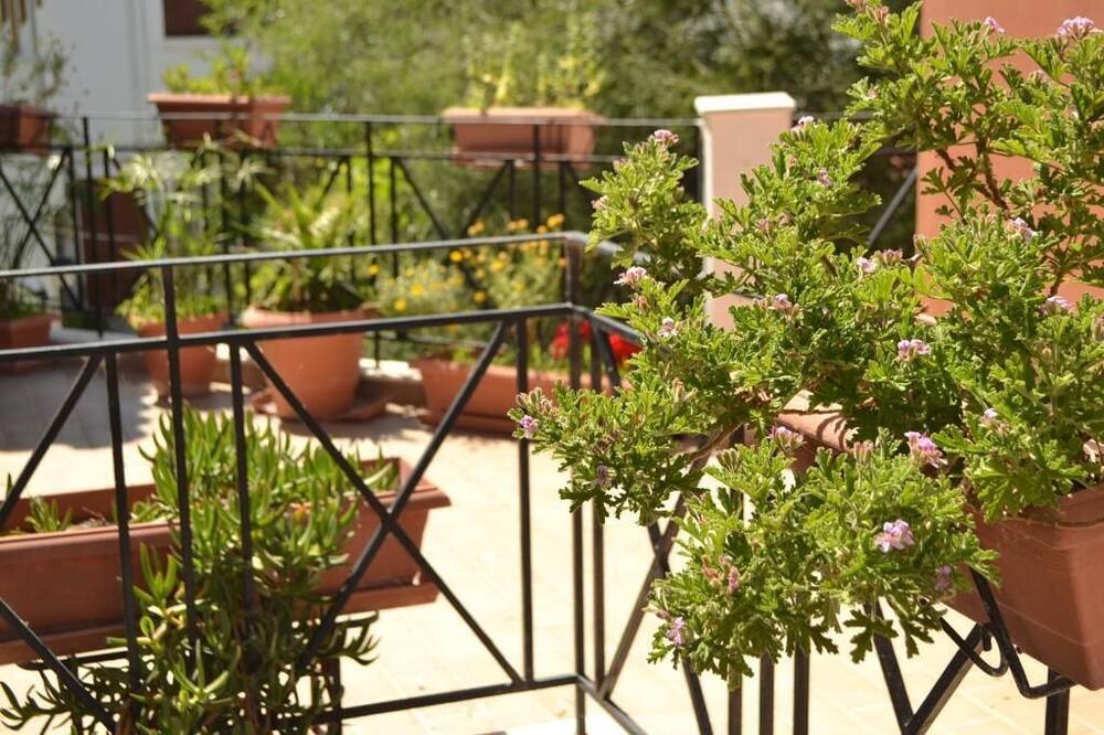 Photo of Outdoor in Skala Kallonis