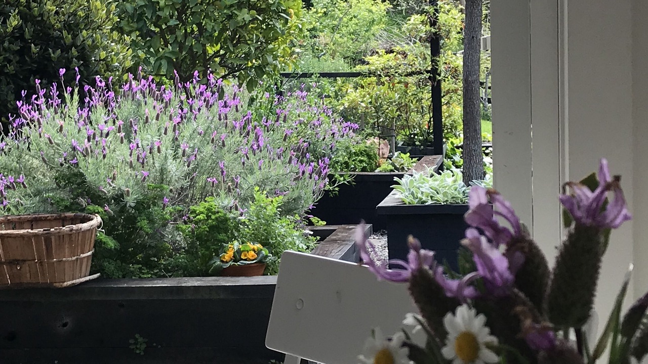 Photo of Outdoor in Matakana