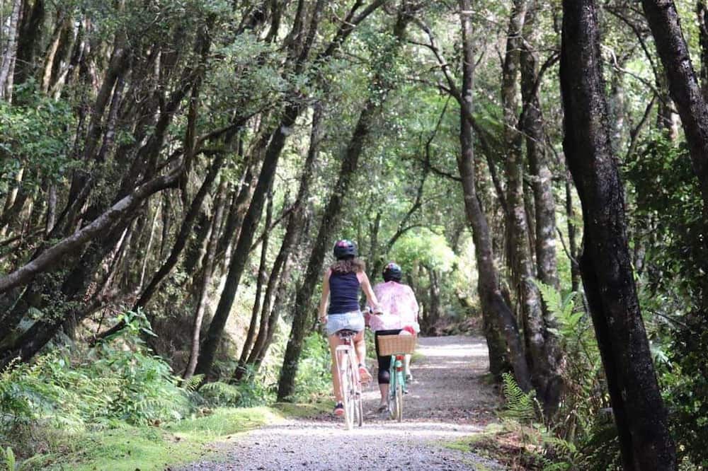 Photo of Outdoor in Hokitika