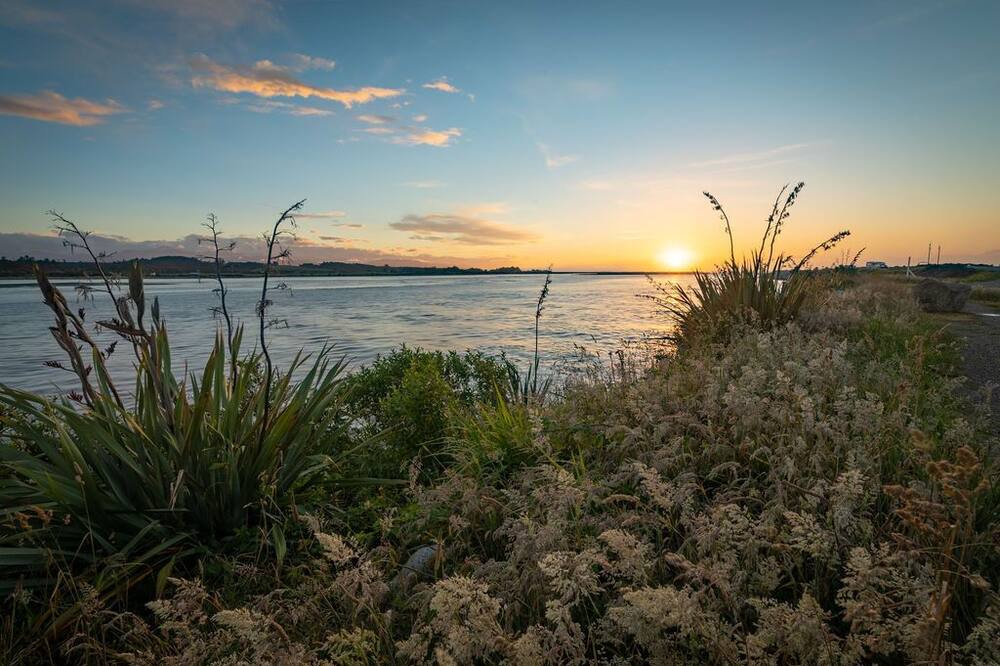 Photo of Others in Hokitika
