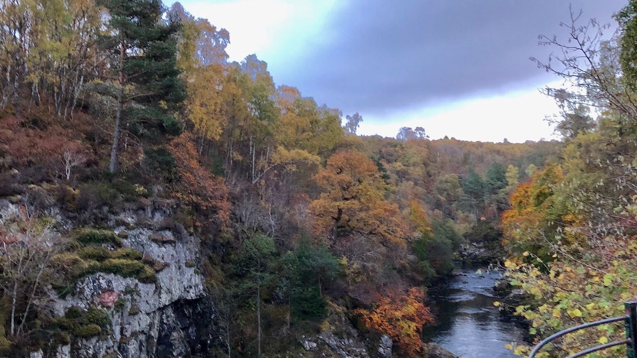 Photo of Outdoor in Lairg