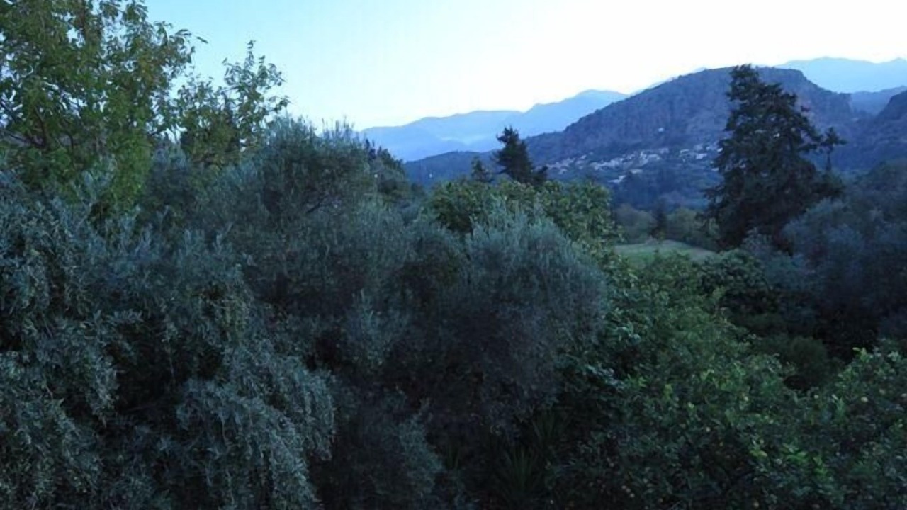 Photo of Outdoor in Provarma