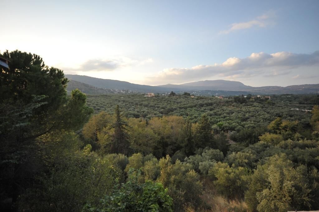 Photo of Others in Provarma