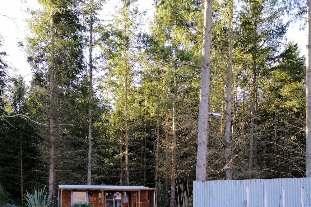 Photo of Outdoor in Ashwick Flat