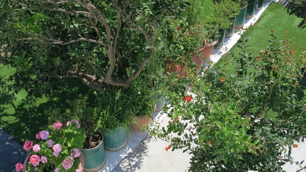 Photo of Patio Balcony in Pitrofos
